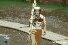 Filename=IS_IMG_3379.jpg
Filesize=263KB
Dimensions=700x467
Date added=Oct 12, 2009 IS_IMG_3379.jpg