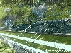 Filename=IS_5414.jpg
Filesize=266KB
Dimensions=600x450
Date added=Aug 03, 2009 IS_5414.jpg
