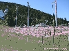 Filename=IS_5445.jpg
Filesize=264KB
Dimensions=600x450
Date added=Aug 03, 2009 IS_5445.jpg
