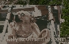 Filename=IS_IMG_2201.jpg
Filesize=246KB
Dimensions=640x407
Date added=Mar 19, 2011 IS_IMG_2201.jpg