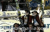 Filename=IS_IMG_3299.jpg
Filesize=126KB
Dimensions=640x410
Date added=Mar 22, 2011 IS_IMG_3299.jpg